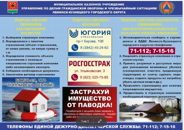 страхование.jpg